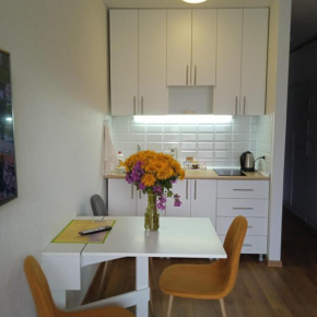 Roshka Apartment 307, Gudauri